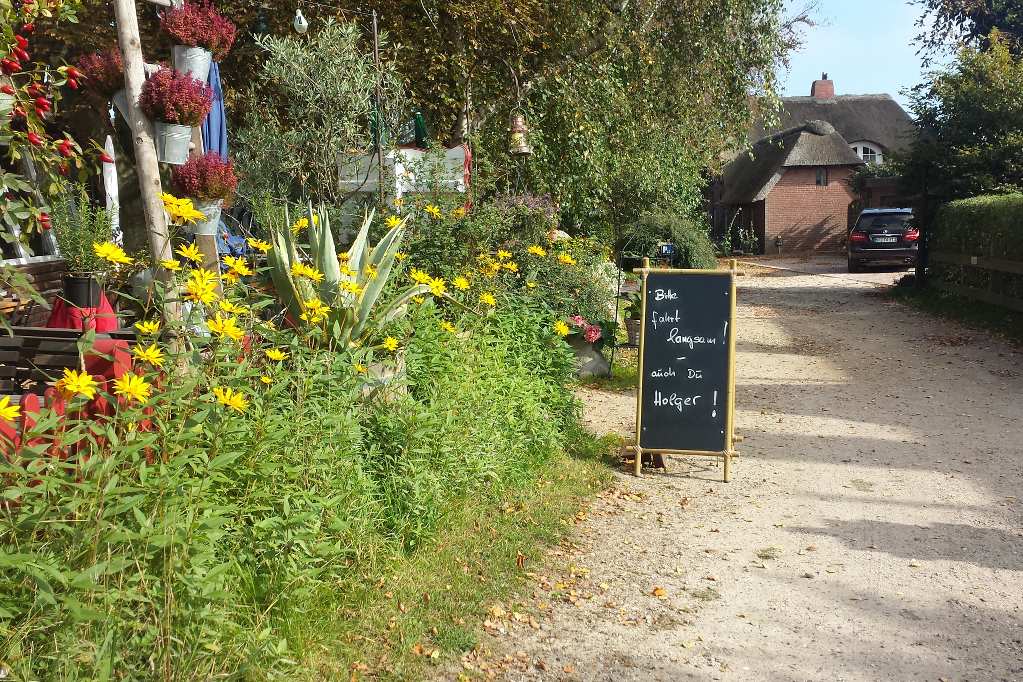 Vorgarten mit Blumenbeet in Amrum.