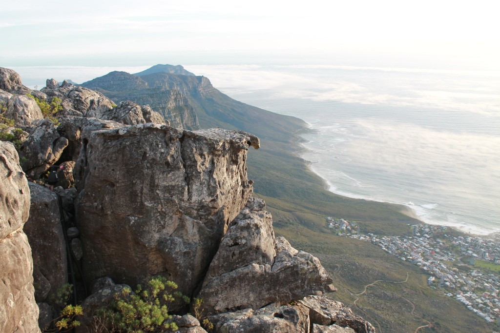 Kapstadt - auf dem Tafelberg