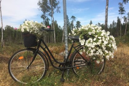 schwedentipps-fahrrad-blumen